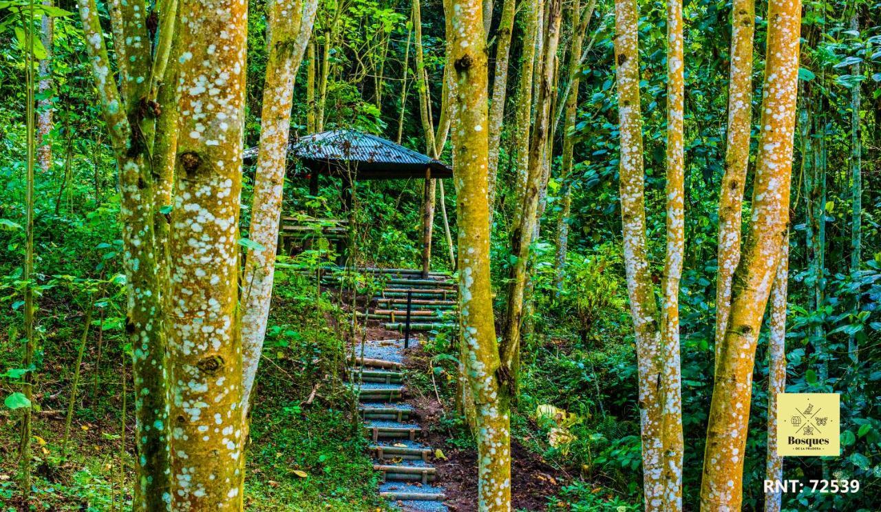 Bosques De La Pradera Ξενοδοχείο Manizales Εξωτερικό φωτογραφία