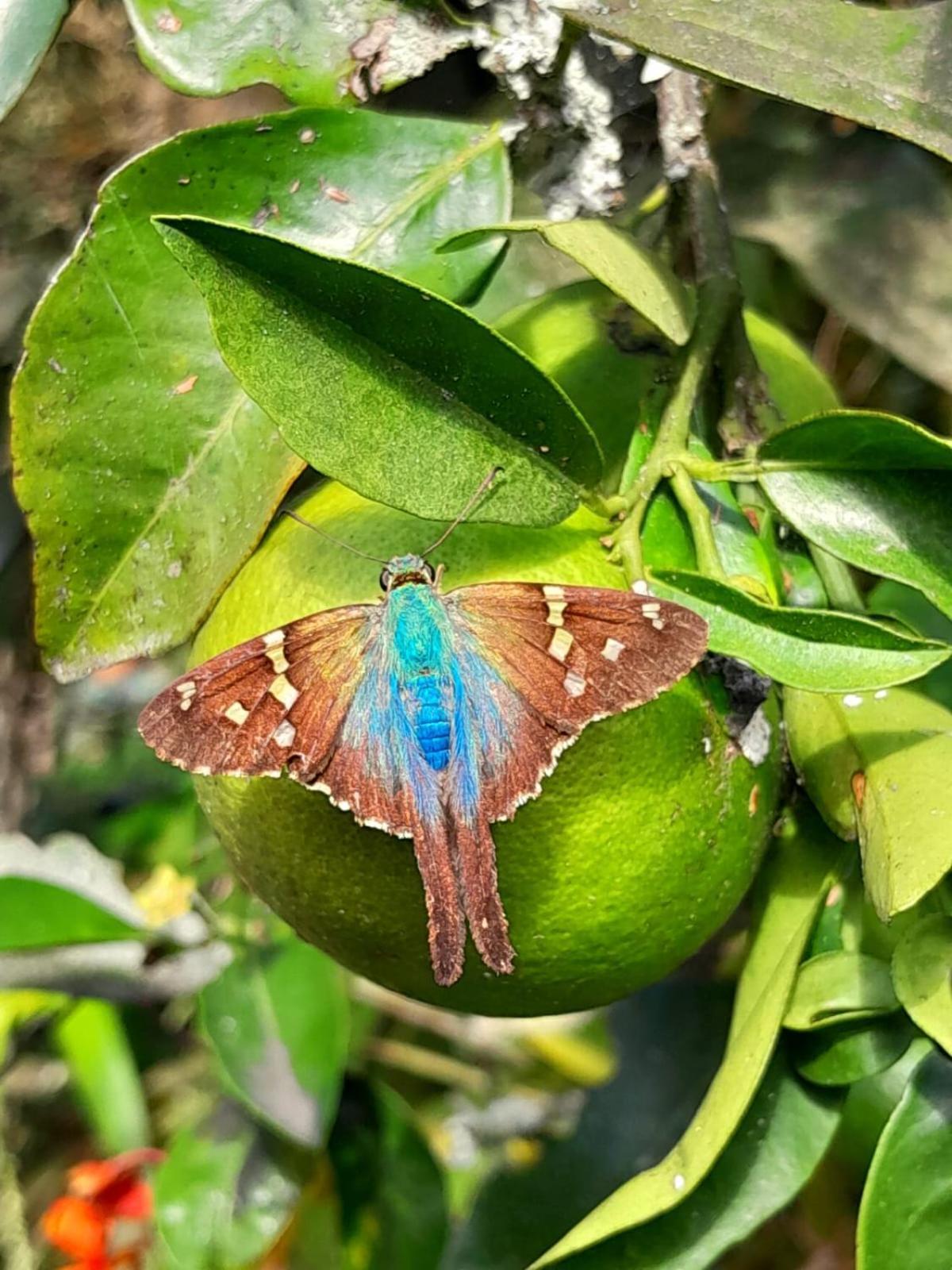 Bosques De La Pradera Ξενοδοχείο Manizales Εξωτερικό φωτογραφία